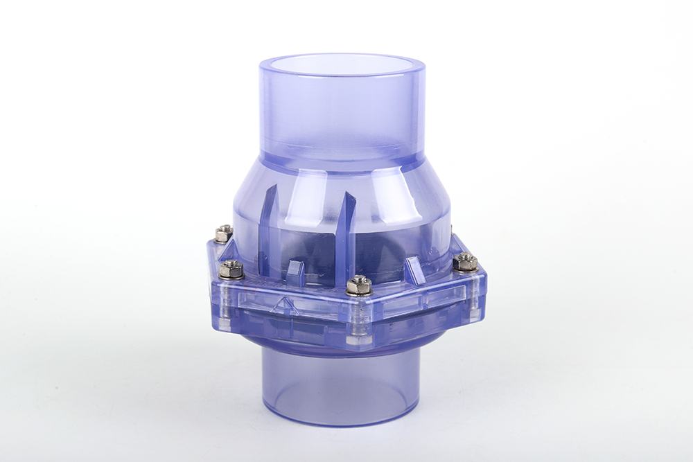 铅山透明翻板式止回阀